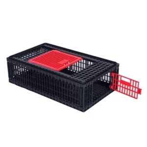 chicken case small black